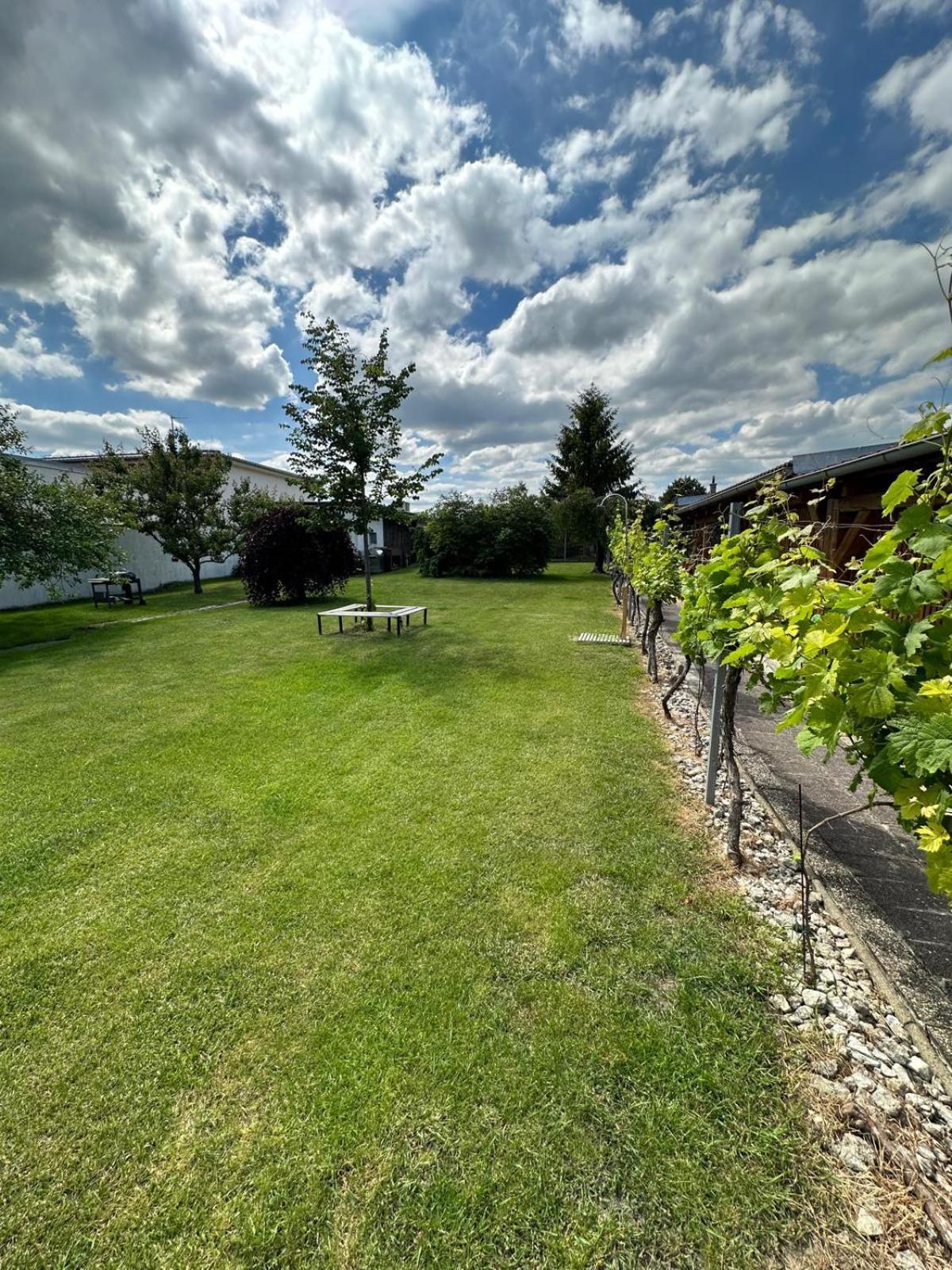 Apartman Lipa Mikulov Exterior photo